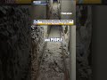 Alleged underground drug tunnel discovered in San Diego #foxnews #news #shorts #california #police