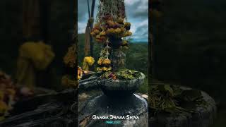 Download Lagu Ganga dhara Shiva song|| om namah shivay|| #shorts #video #lordshiva #status #trending #1k #video MP3 Download Lagu Ganga dhara Shiva song|| om namah shivay|| #shorts #video #lordshiva #status #trending #1k #video MP3