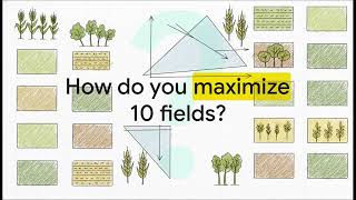 Everything You Need to Know About Linear Programming IGCSE Mathematics Cor... | IGCSE | Ace The Exam