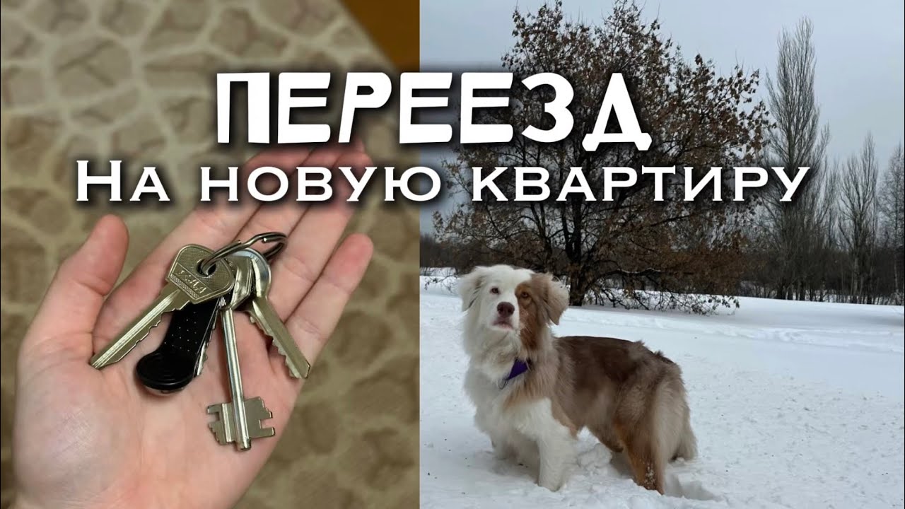 ПЕРЕЕЗД НА НОВУЮ КВАРТИРУ