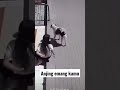 Dasar Anjink kamu #funnyvideo #videolucu #funnymoments #sungguhsial #videoanjinglucu