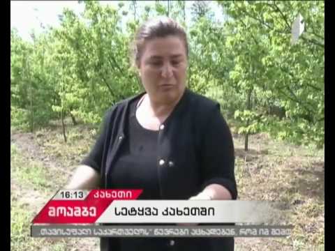 ძლიერმა სეტყვამ გურჯაანის სოფლები დააზარალა