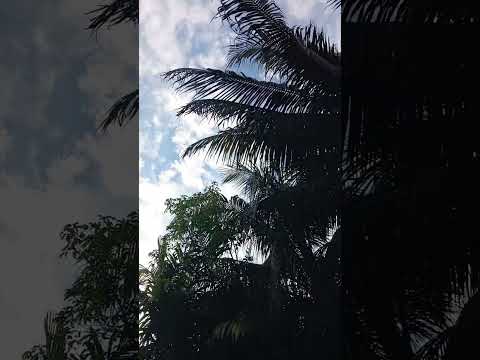 টাকাই সব #sorts