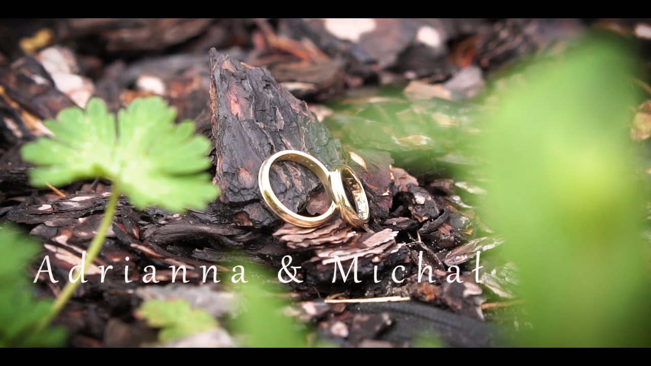Adrianna & Michał -Wedding Highlights//TELEDYSK ŚLUBNY//Cinematic//Piotrków Trybunalski