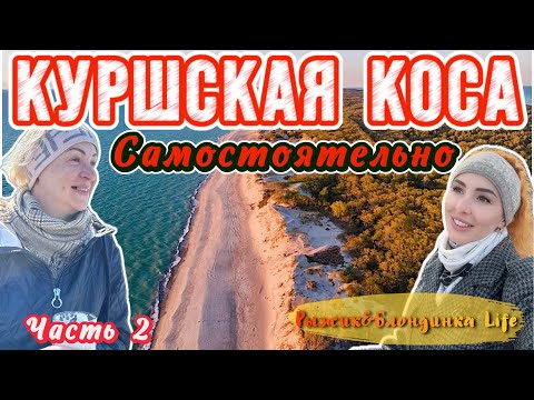 НЕВЕРОЯТНАЯ Куршская Коса🤩ШИКАРНЫЕ виды ВЫСОТА ЭФА 🙌🏻 ищем ЯНТАРЬ и вкусный обед с ВИДОМ на Балтику🌅