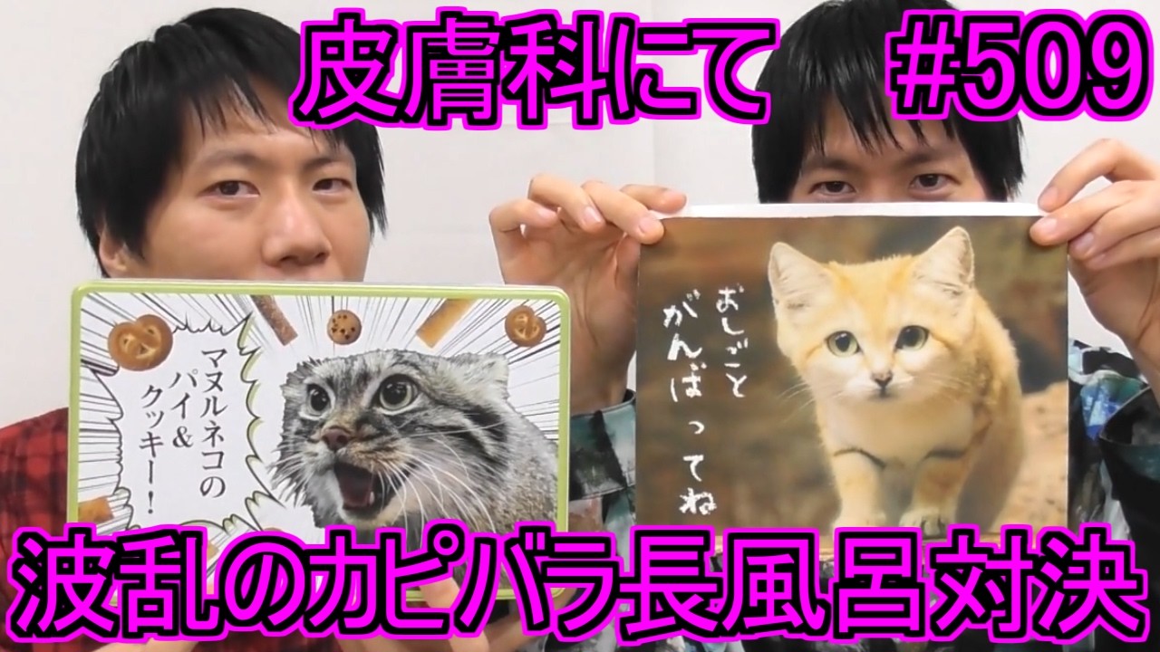 【第509回】波乱のカピバラ長風呂対決！那須どうぶつ王国！皮膚科に行った時の話！本当に皮膚科に行った！【RADIO ALIEN】