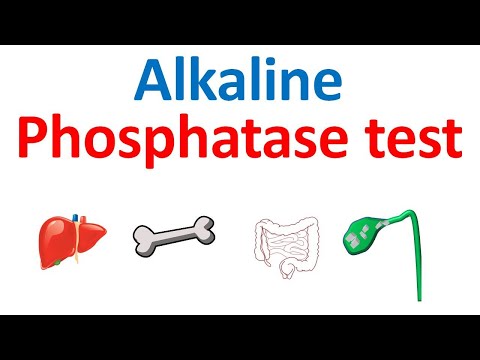 Alkaline phosphatase (ALP) test and its significance