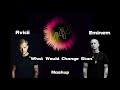 Avicii &amp; Eminem - What Would Change Stan (Mashup) MeÄxsen