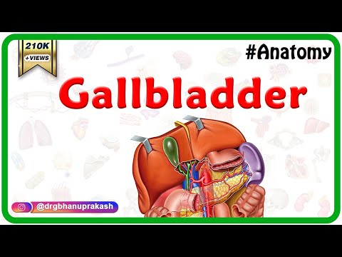 Gross Anatomy of Gallbladder: Composition, Structure, Blood supply  and Nerve supply