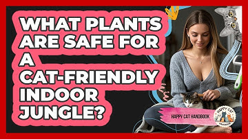 What Plants Are Safe For A Cat-friendly Indoor Jungle? - Happy Cat Handbook