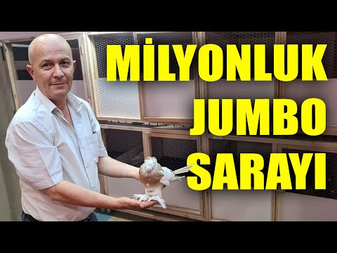 Video: 30 yıllık jumbo kredisi nedir?