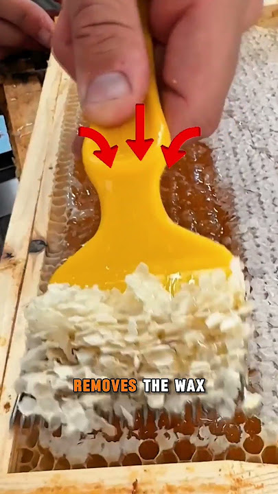 Removing Wax Cappings from the Comb