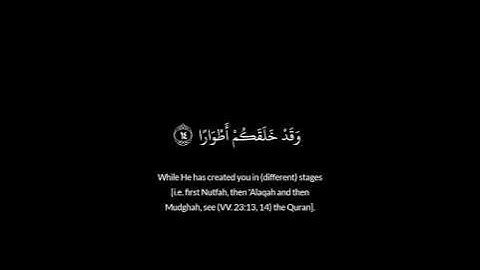 مالكم لا ترجون الله وقار #القارئ الشيخ سعد الغامدي # سورة نوح #