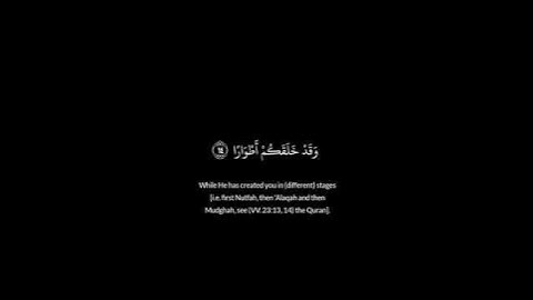 مالكم لا ترجون الله وقار #القارئ الشيخ سعد الغامدي # سورة نوح #