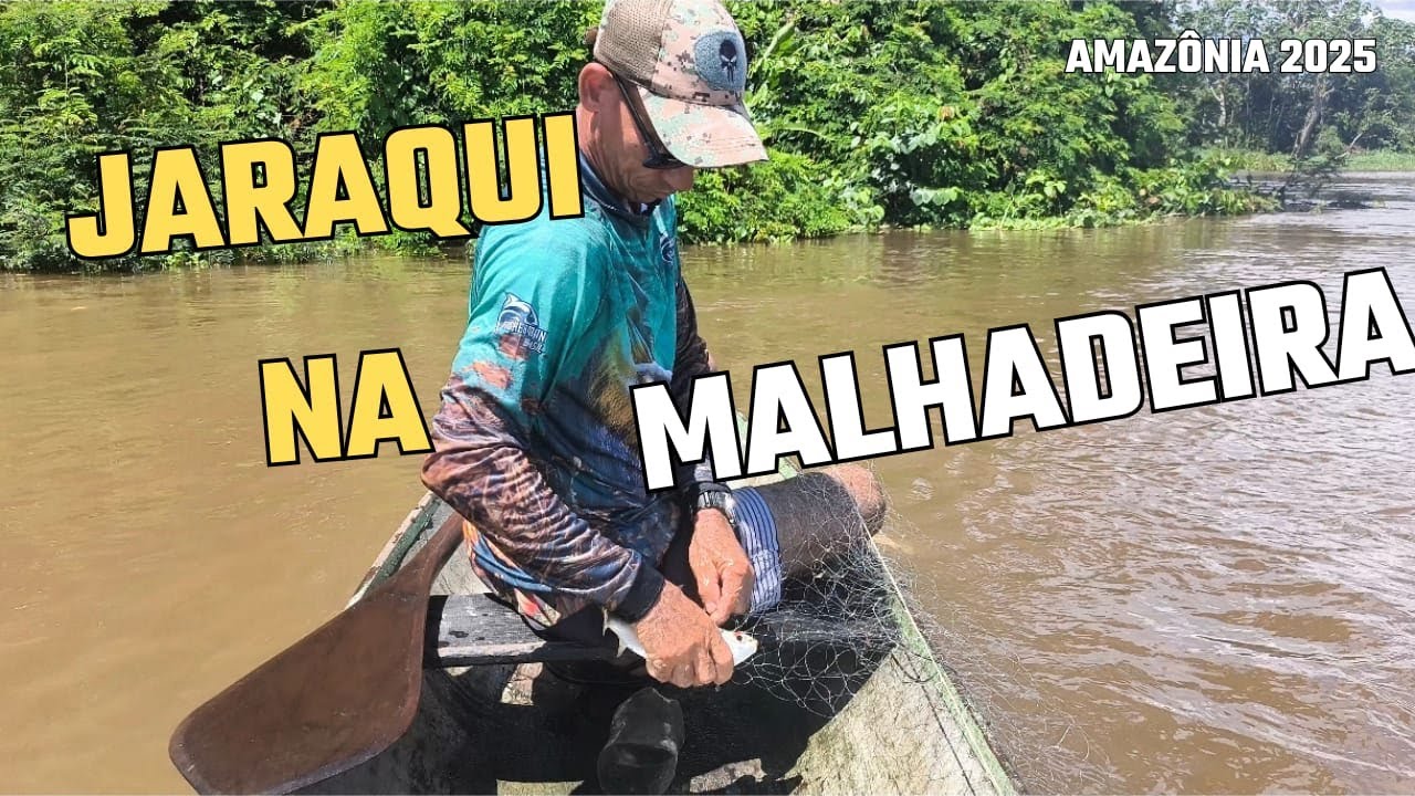 JARAQUI NA MALHADEIRA
