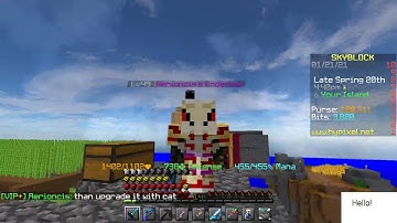 The Best Aspect of the End Setup (I think) Hypixel Skyblock