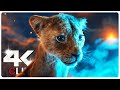 Who Are The Outsiders Scene | MUFASA THE LION KING (NEW 2024) MOVIE CLIP 4K