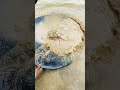 Wow, 😱 thousands of gold grains were found manually...
