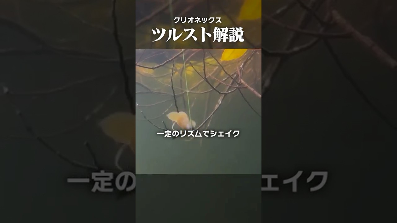 冬の“吊るし”で釣るコツ! #shorts