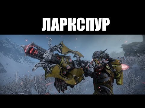 Бейне: Ларкспур үлкен гүлді