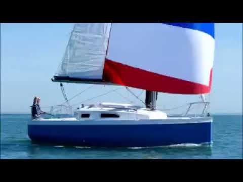 British Hunter 20 sport and mini c