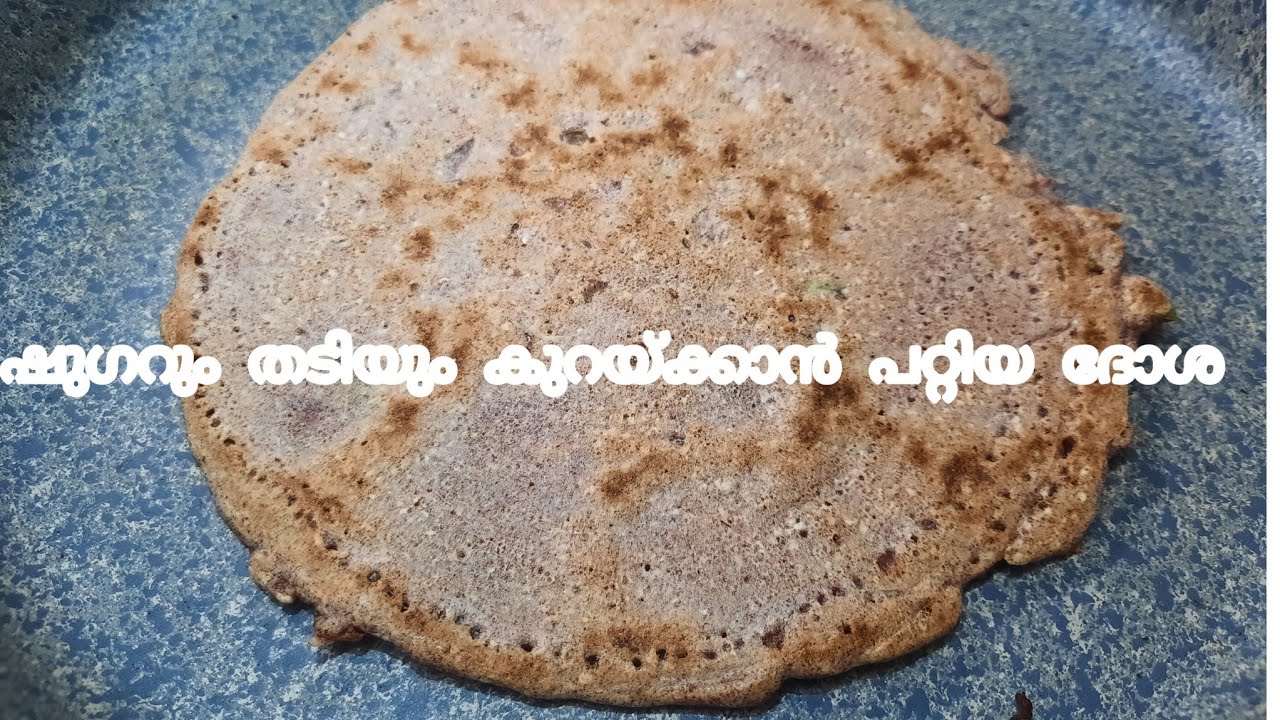 HIGH PROTEIN ROTI NO ATTA NO MAIDA FOR WEIGHT LOSSVEGITABLE MILLET