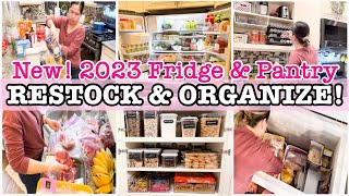 NEW! FRIDGE RESTOCK + PANTRY ORGANIZATION | KITCHEN CLEANING \& ORGANIZING | CLEAN AND ORGANIZE