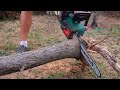 Forgotten Log transformed into Art
