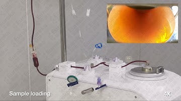 PBMC seperation using CellSep PRO