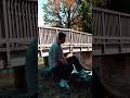 vlog of the day