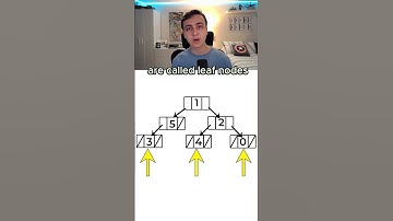 Learn Binary Trees In Under 30 Seconds