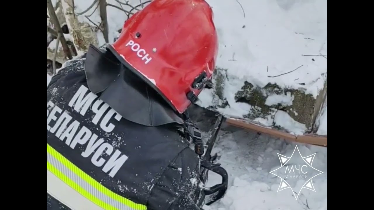 В Минске спасли замерзавших щенят