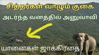 நடுக்காட்டுக்குள் முருகன் கோவில் || Anuvavi murugan temple in Coimbatore