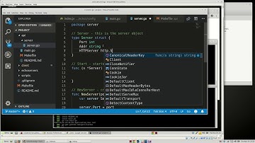 Golang - VueJS - Kubernetes - Docker - AWS [003] - Getting Started with Go Server