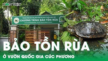 Khám phá khu bảo tồn các loại rùa tại Vườn Quốc gia Cúc Phương | Báo điện tử Dân Việt