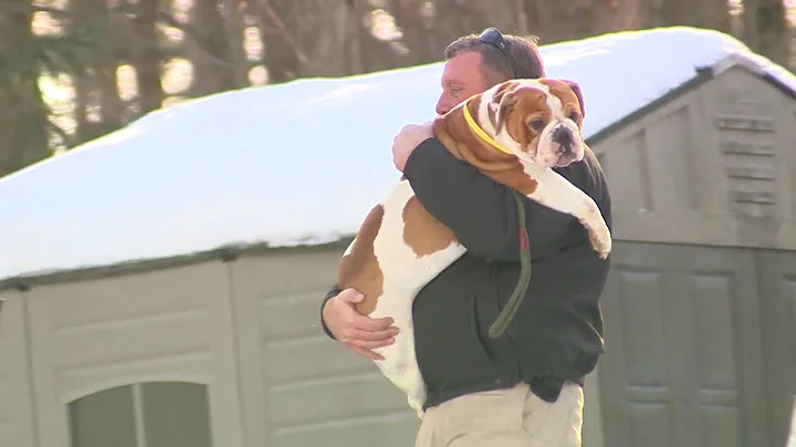 At least 2 dozen dogs removed from former Oxford foster home that hid horrific child abuse, 5 Inv...