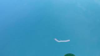 Slow death hook