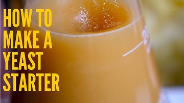 How To Make a Yeast Starter for Beer