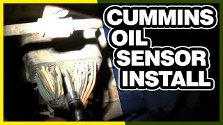 How to Install a Cummins Oil Sensor | No Oil Pressure