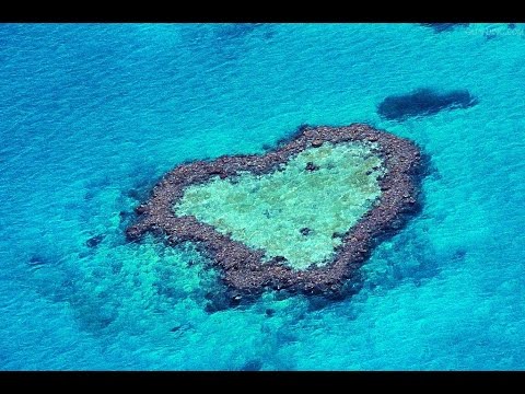 Video: Avstralija Razvija Robota Za Ubijanje Plenilcev Great Barrier Reef