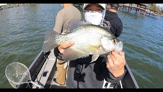 Found Huge Crappies In the Shallows.