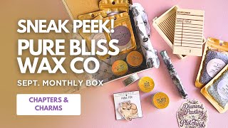 A Bookish Limited Diamond Painting Box from Pure Bliss Wax Co - September 2026 Sneak Peek!