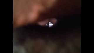 Istriku Buang Air Besar EEK di WC