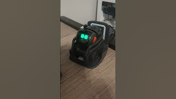 idk (Anki Victor DVT2) #anki #vector #ankivector #vectorrobot  #robot #robotics #rainbow #ddlvector