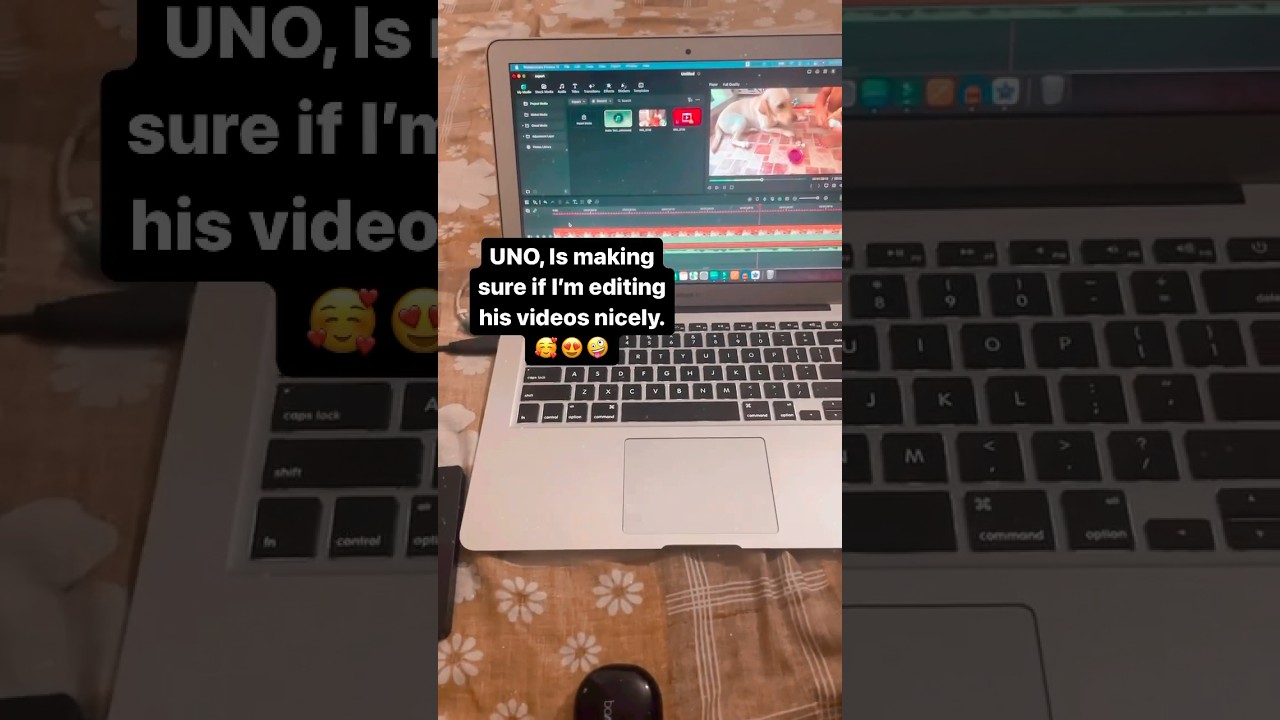 My Dog is learning video editing 😎🔥