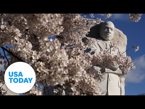 Biden and Harris speak at anniversary of the Martin Luther King, Jr. Memorial | USA TODAY