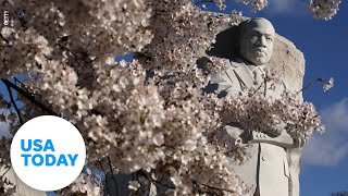 Biden and Harris speak at anniversary of the Martin Luther King, Jr. Memorial | USA TODAY