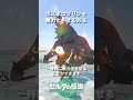 【小ネタ】ボスボコブリンと楽しく遊ぶ方法【ティアキン】