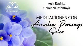 Meditaciones con Amalia Domingo Soler