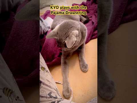 KYO plays with the Pajama Drawstring